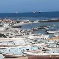 ارتريا والولايات المتحدة 